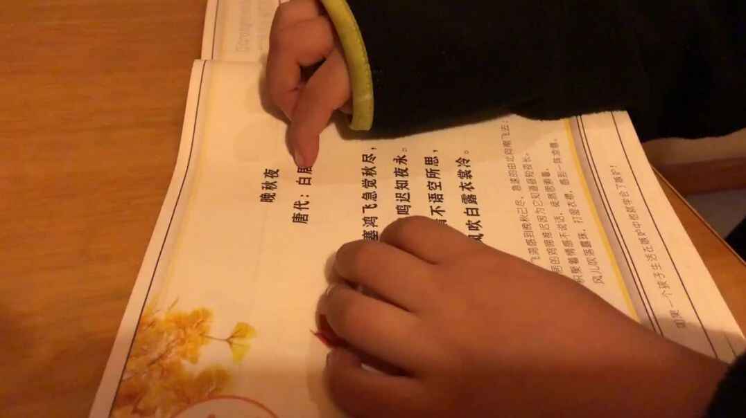 中B班石昊然.MOV