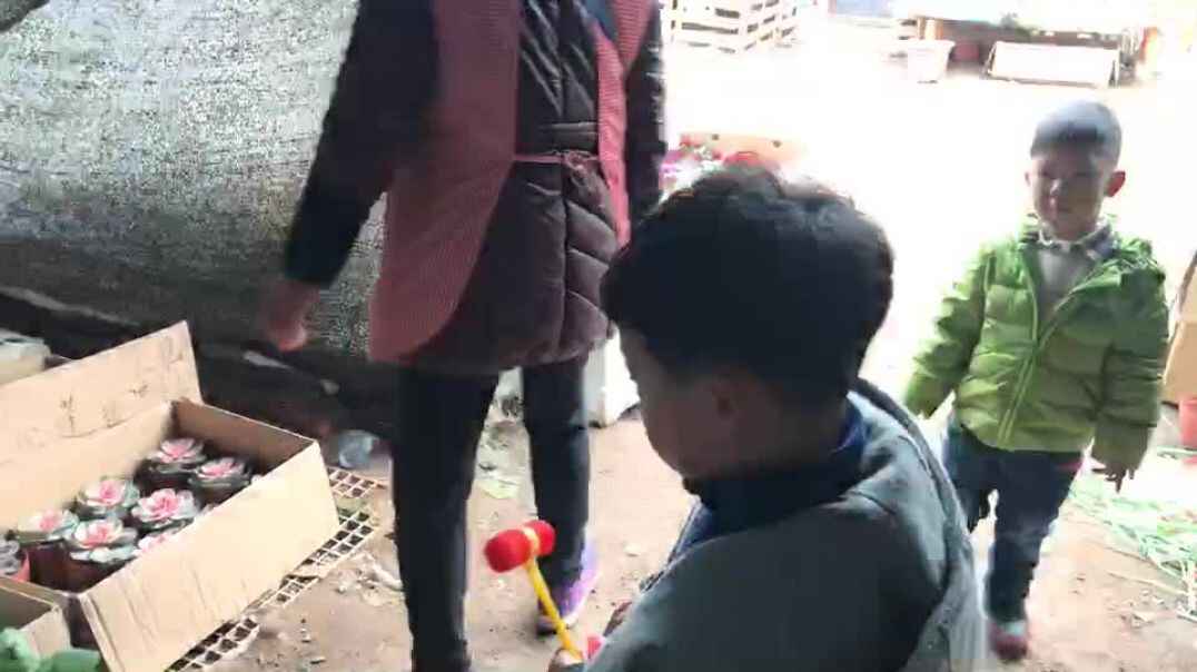 选购