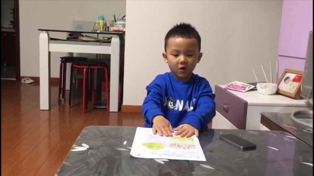 《用什么做成的》.MOV