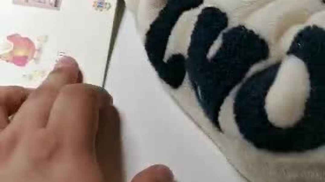 10.24任多多拼音作业
