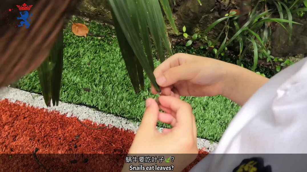 看我发现了啥