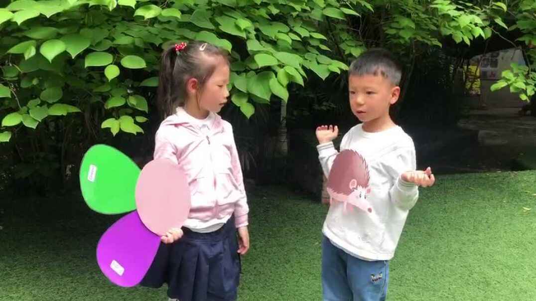 我的故事