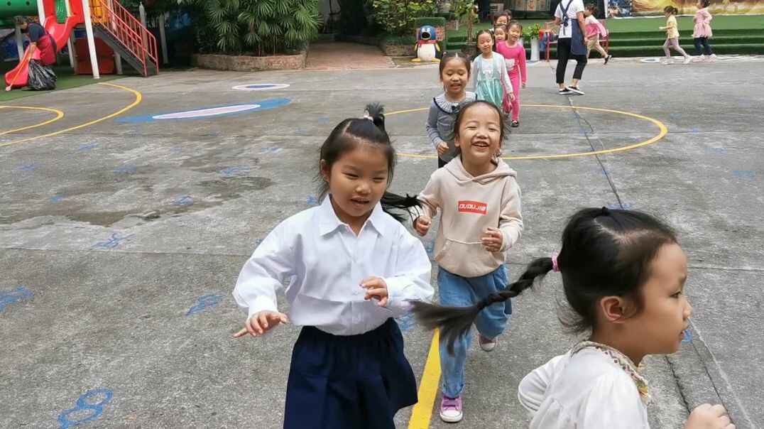 预备活动