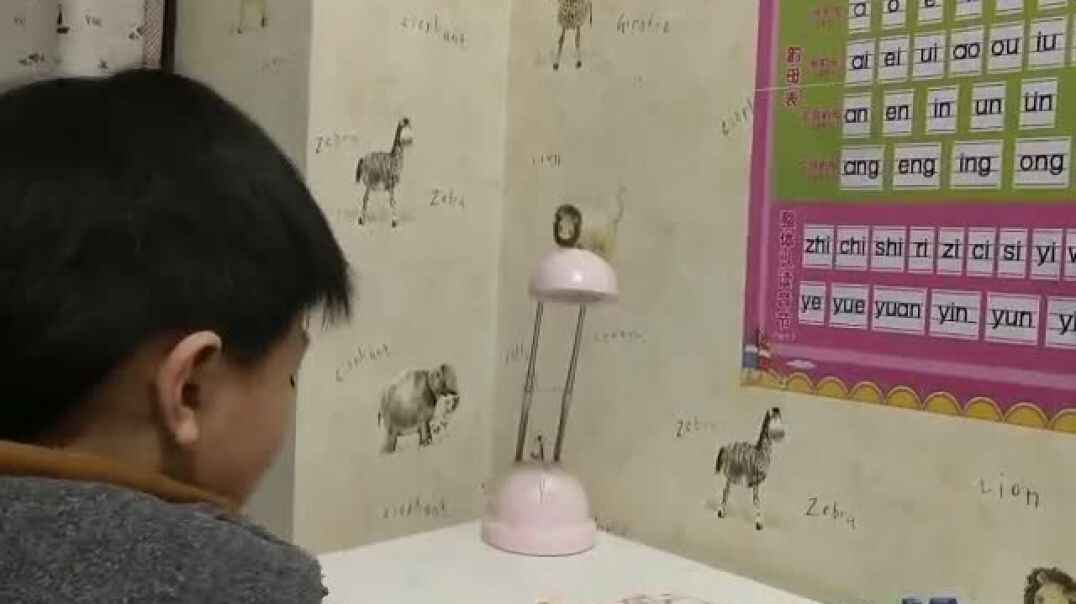 快乐生活8