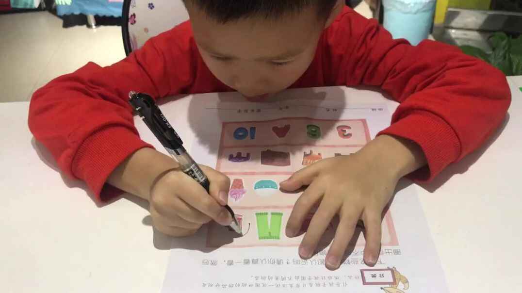 大A班胡芝铭小朋友——亲子练习《不同类别》