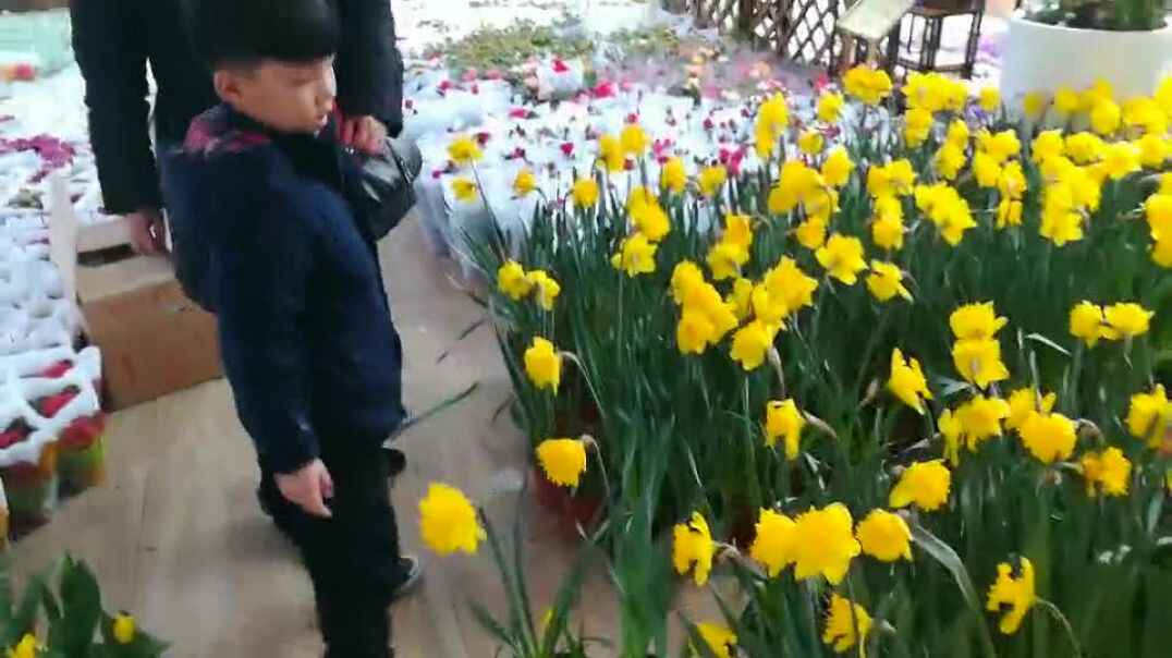 爱学习的宝贝8