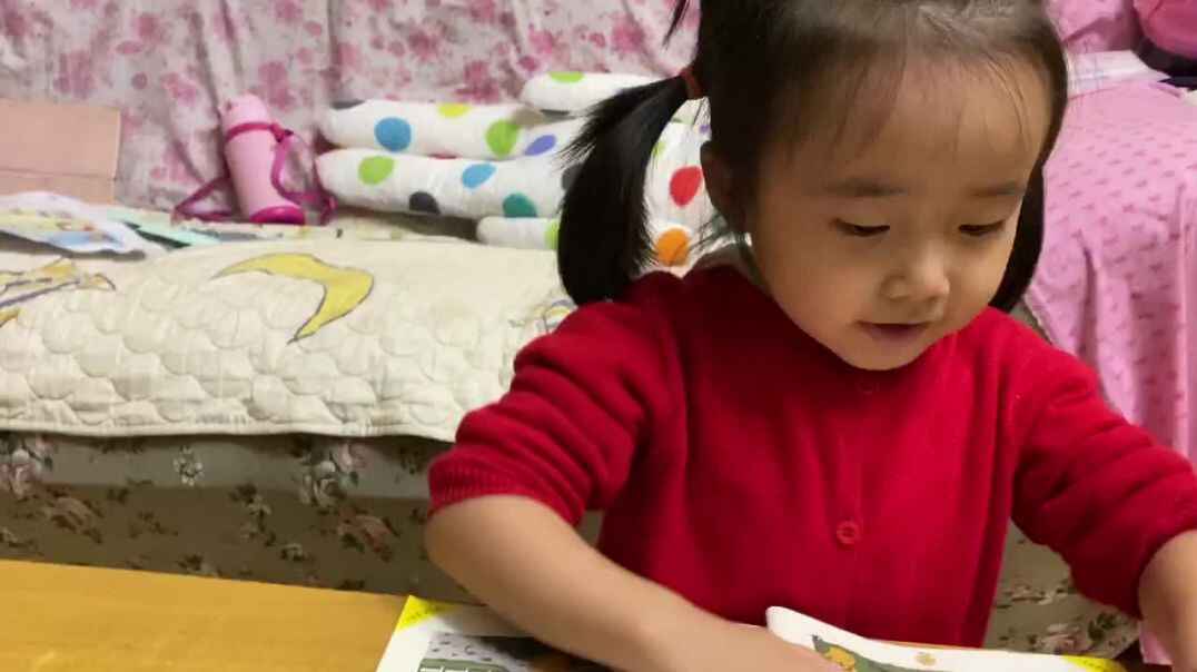 聪明的小鸡