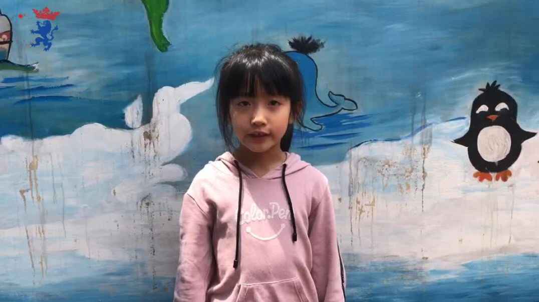 妞妞宝贝