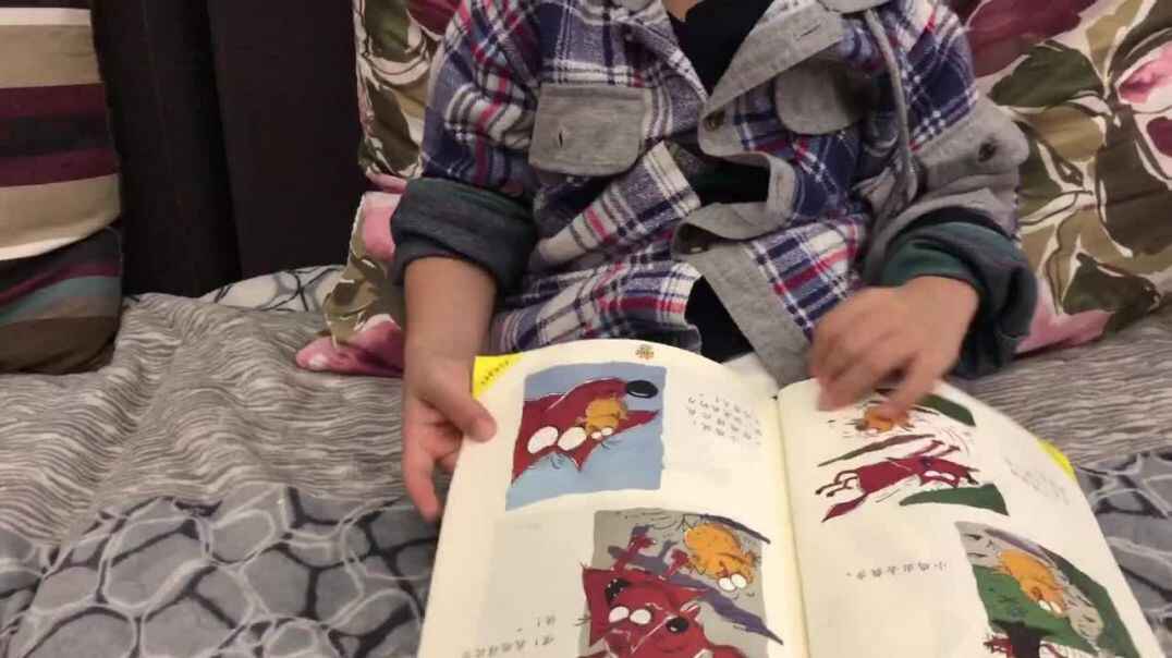 《聪明的小鸡》
