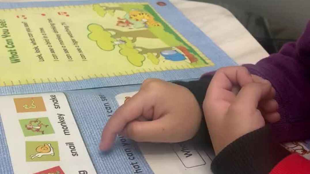 trim.4B1485C2-C653-404C-8DCF-09519F268451.MOV