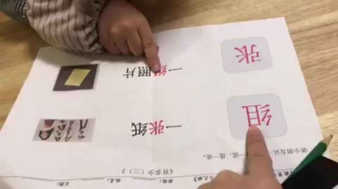 2019.10.15实验中班6号作业反馈