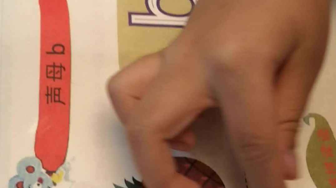 拼拼读读b和p