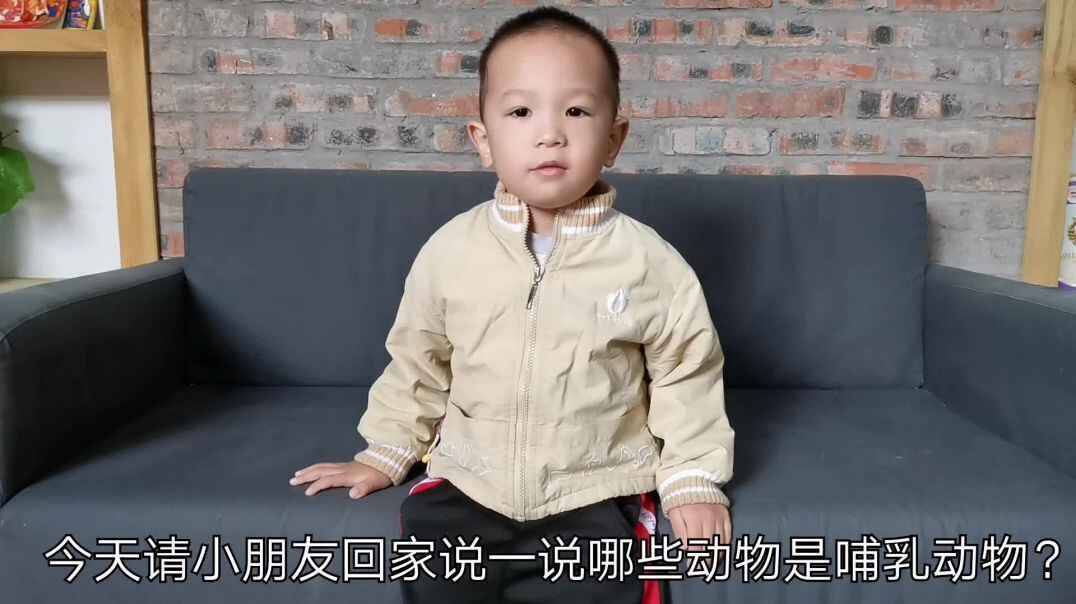 2019.10.28亲子练习（哺乳动物）.mp4