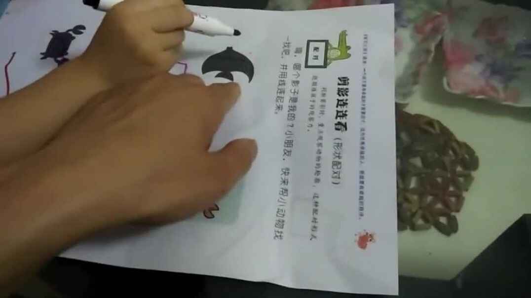 有动物的配对