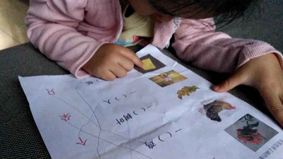 量词学习