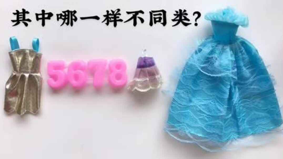2019.10.17 《不同类别》知识点