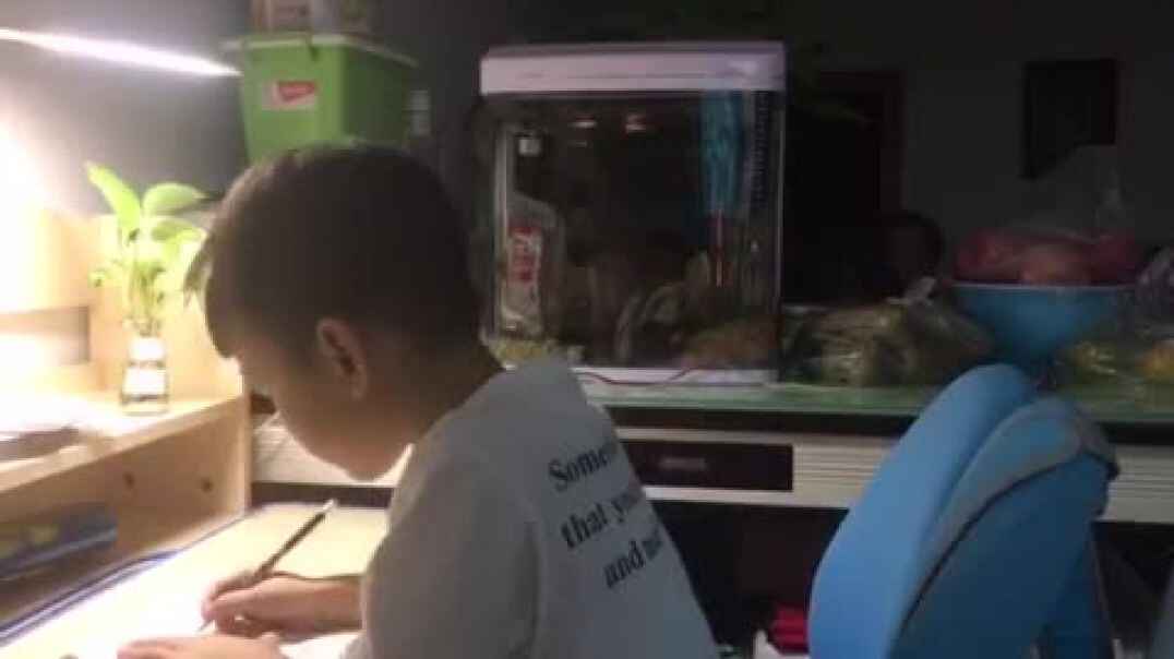 拼音练习