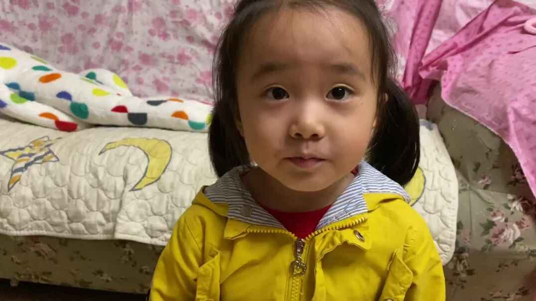 聪明的小鸡