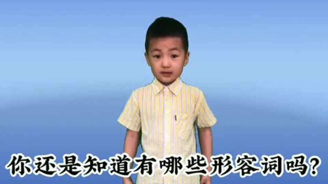 《小蚂蚁》