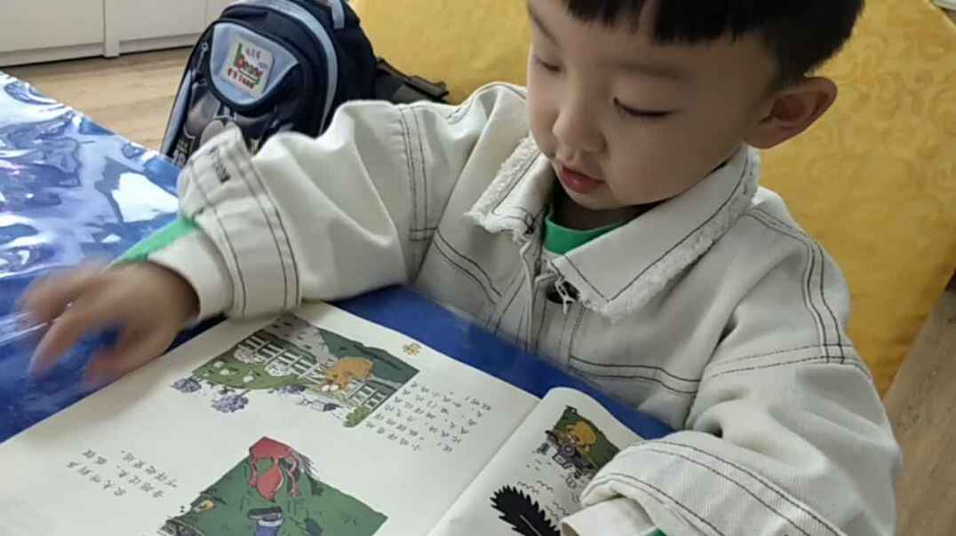 聪明的小鸡