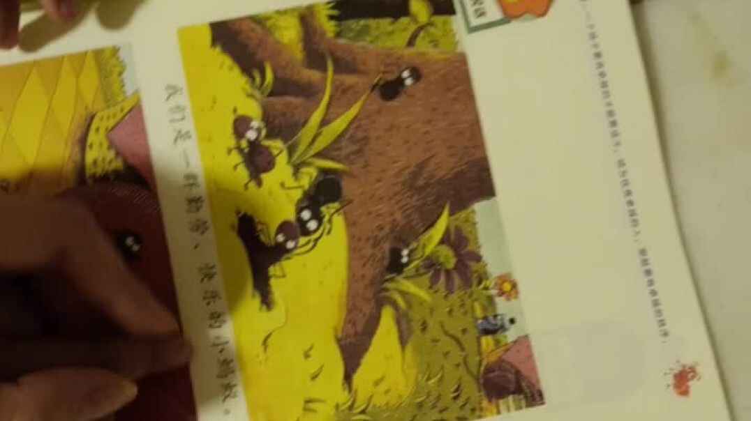 WuTa_2019-10-22_19-40-11.mp4