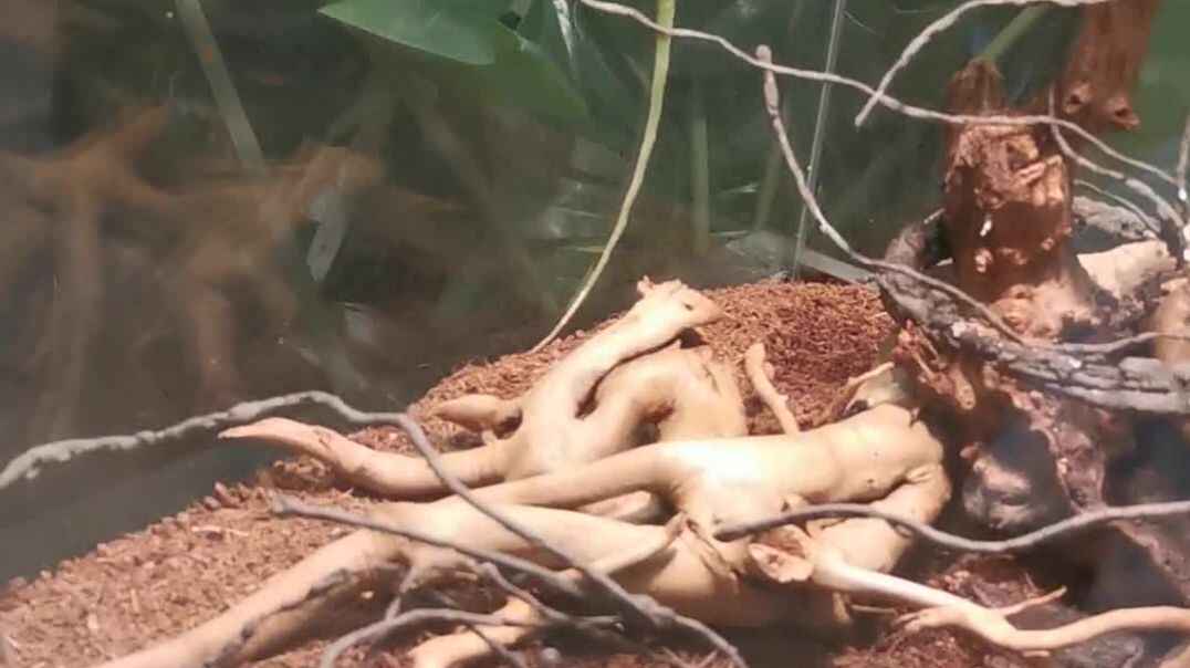 VID_20191007_155101.mp4