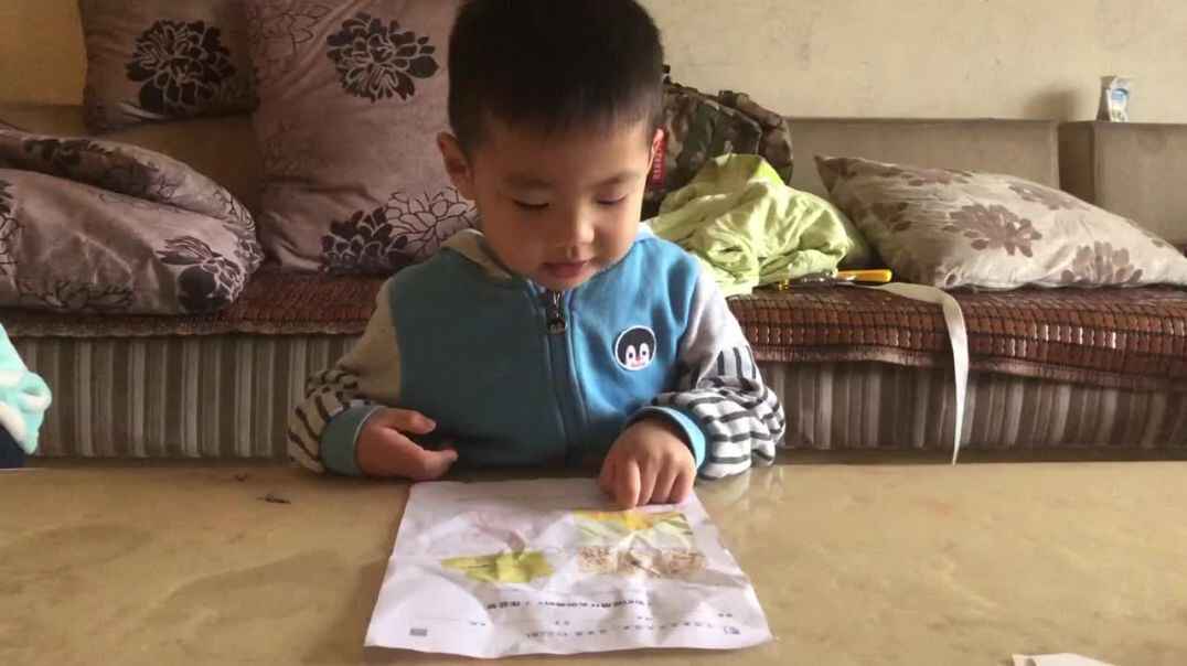 这些东西由什么组成