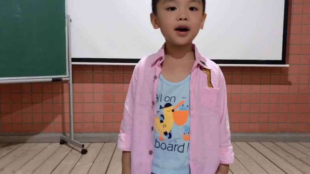 我的学习生活5