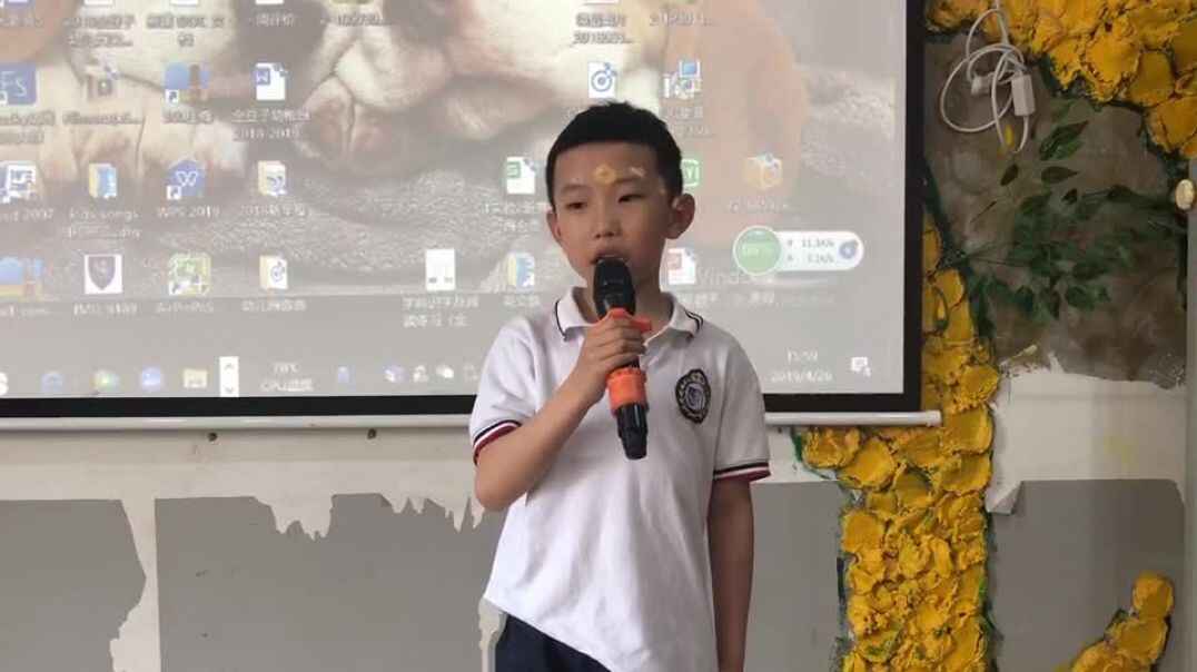 我的表演