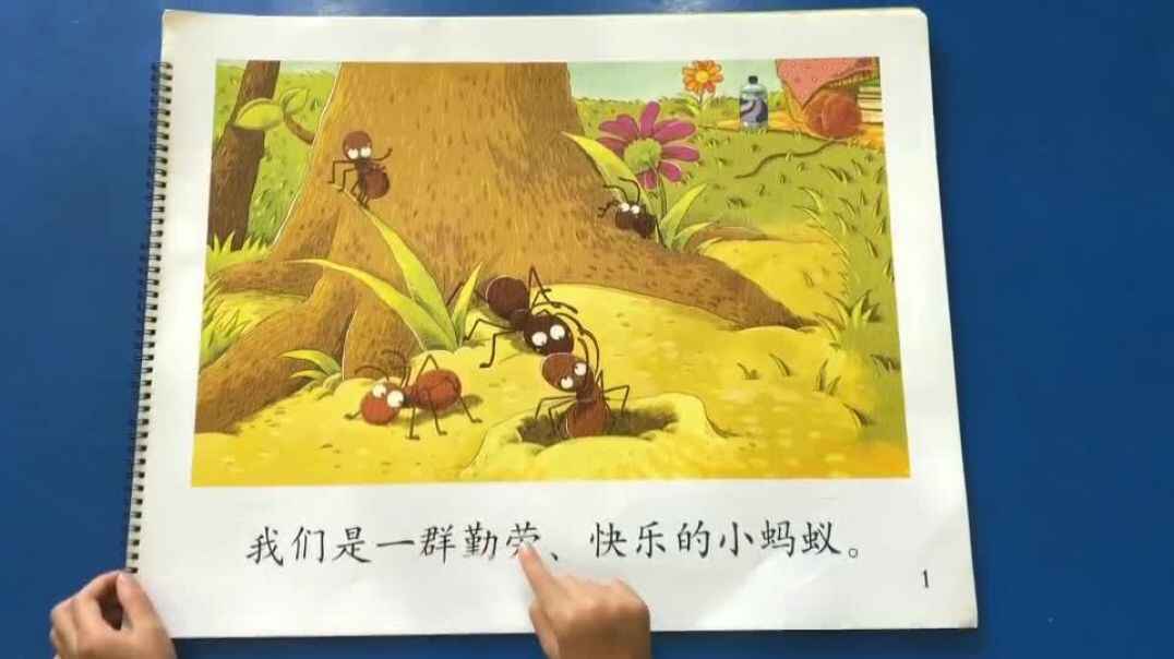知识点《小蚂蚁》