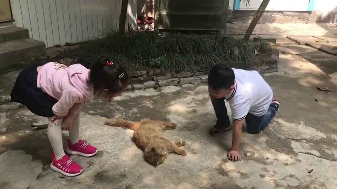 趣味探索