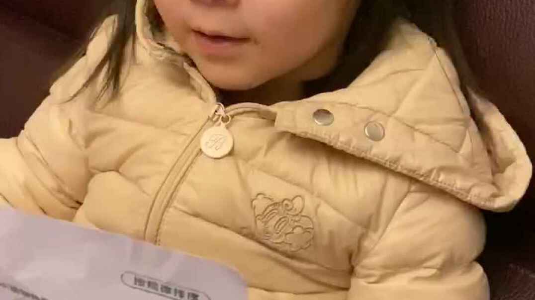 动物排队
