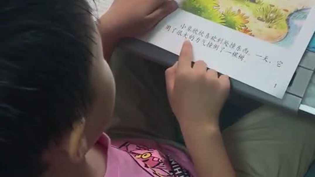 爱动的你们8