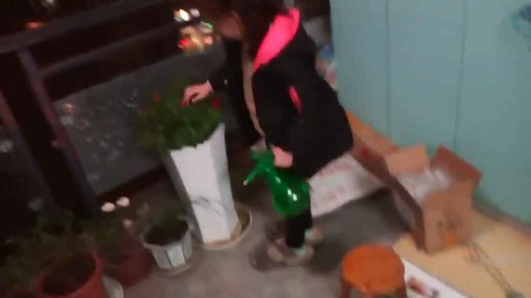 书写达人6