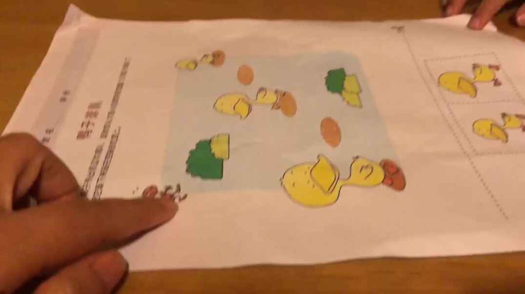 中B班石昊然.MOV