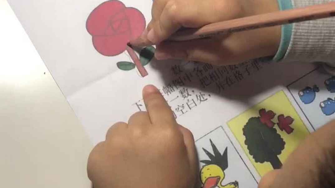 10月29日《找找123》秦梓瑞