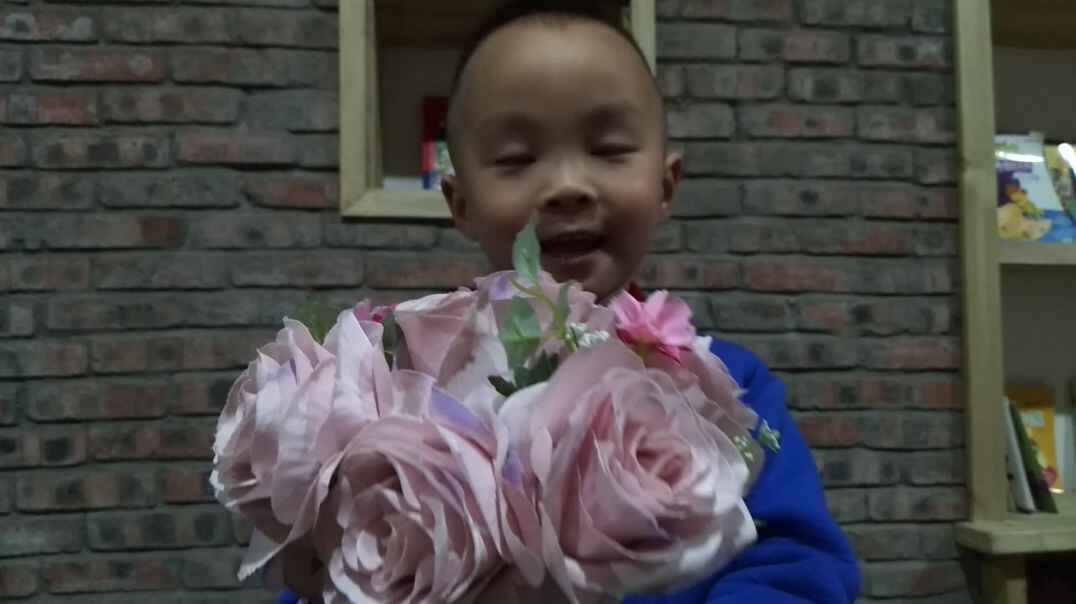 认识假花