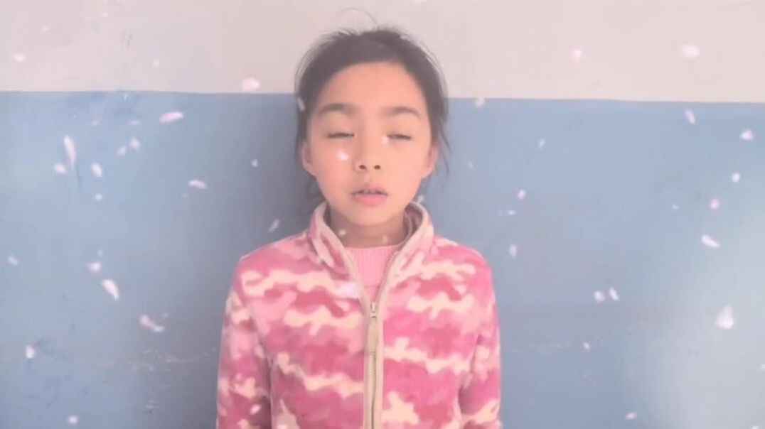 我的表演