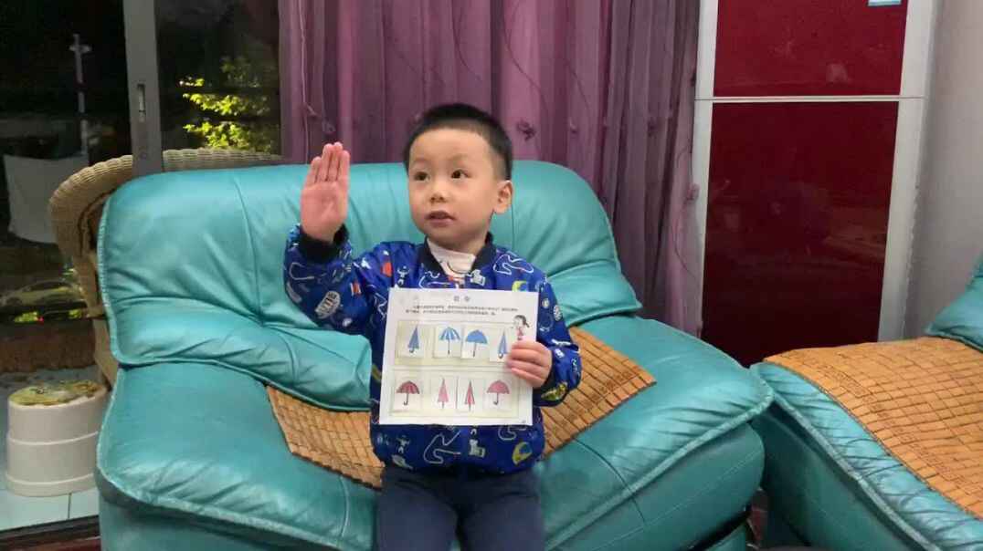 轩轩雨伞分类.MOV