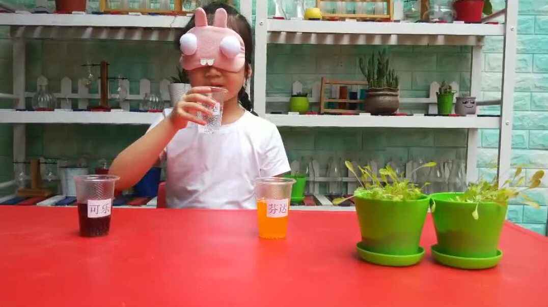 猜我在干嘛