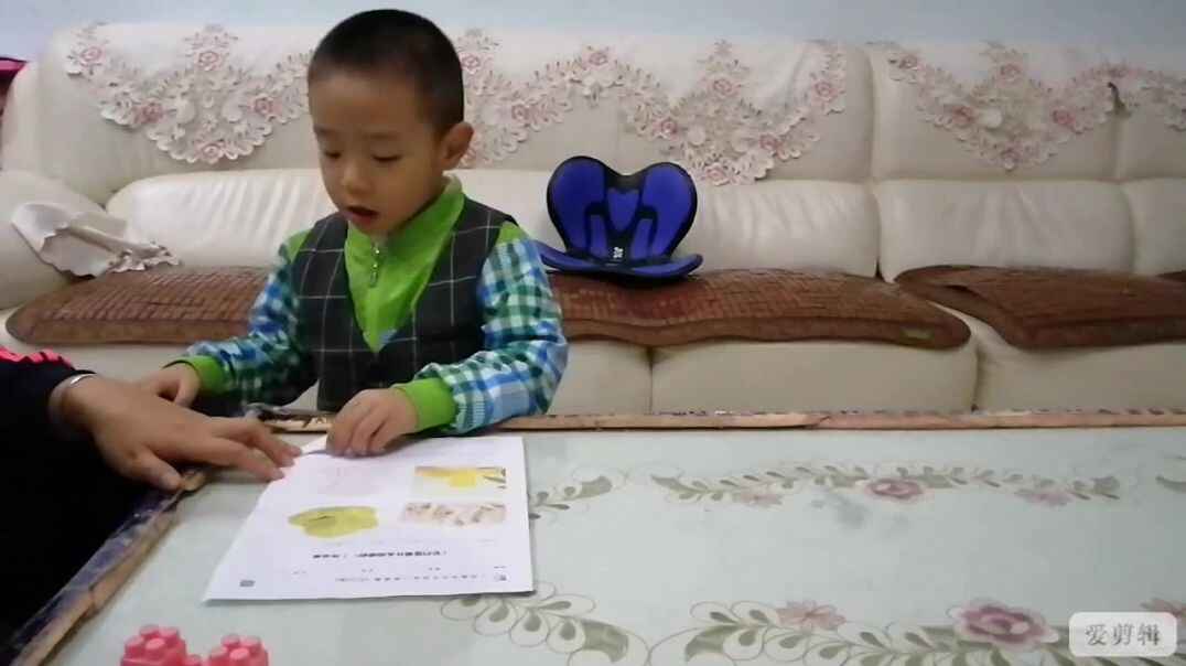 它们是用什么做成的.mp4