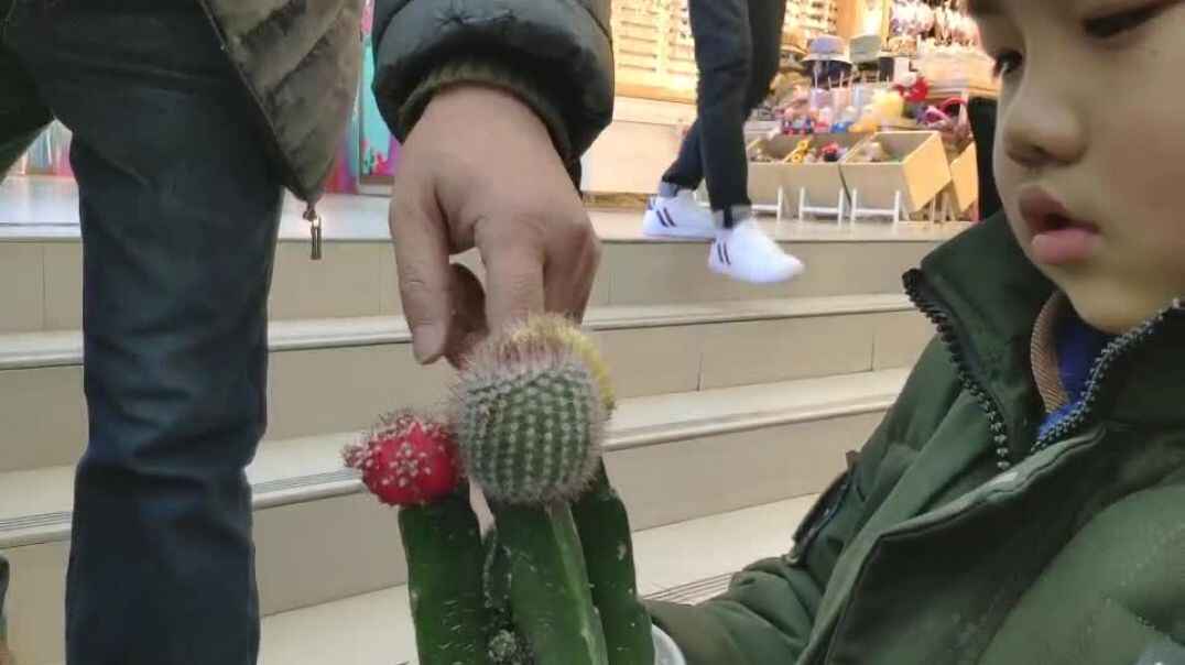 议价