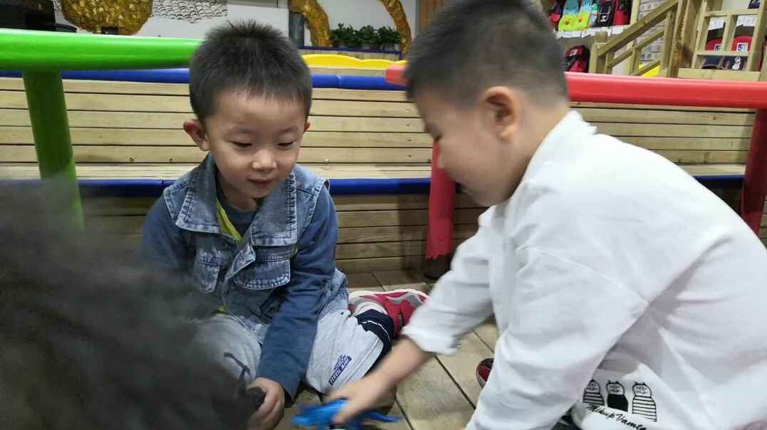 恐龙的魅力