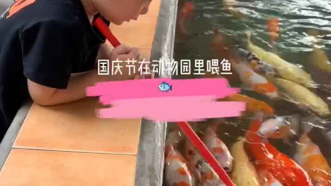 国庆节视频，中C班王晨帆
