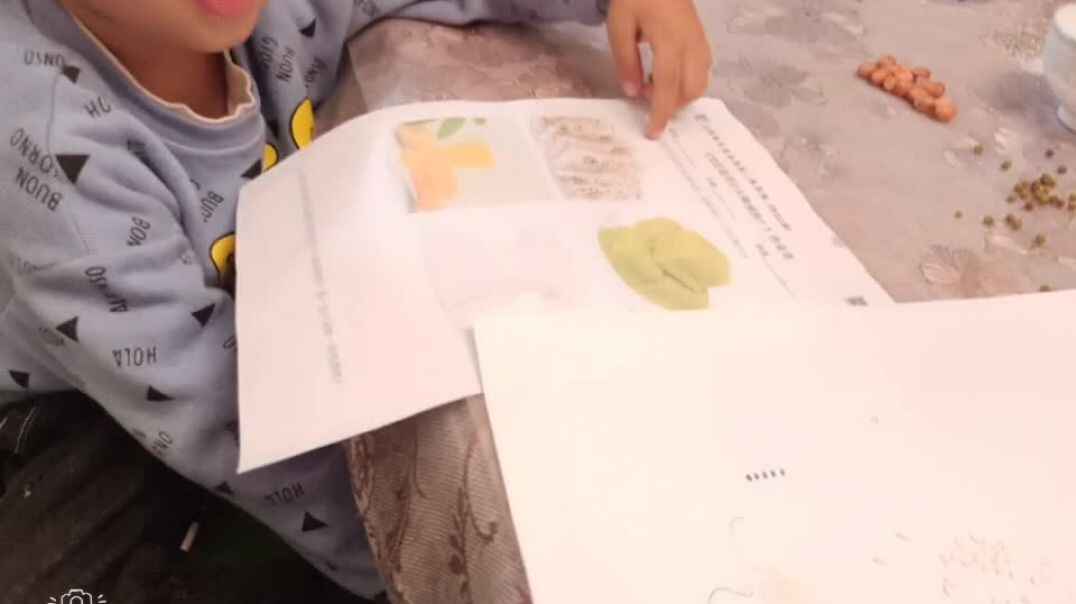 WuTa_2019-10-14_18-51-13.mp4