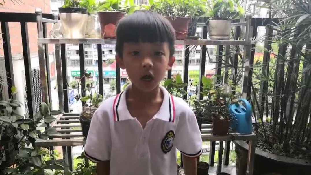 我的快乐故事