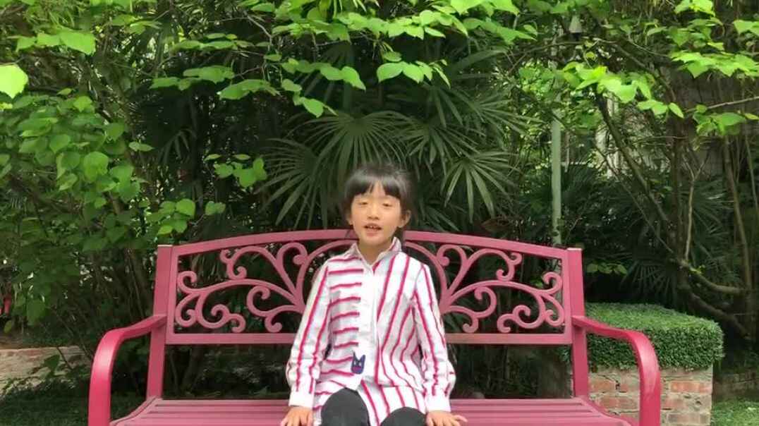 表达能力