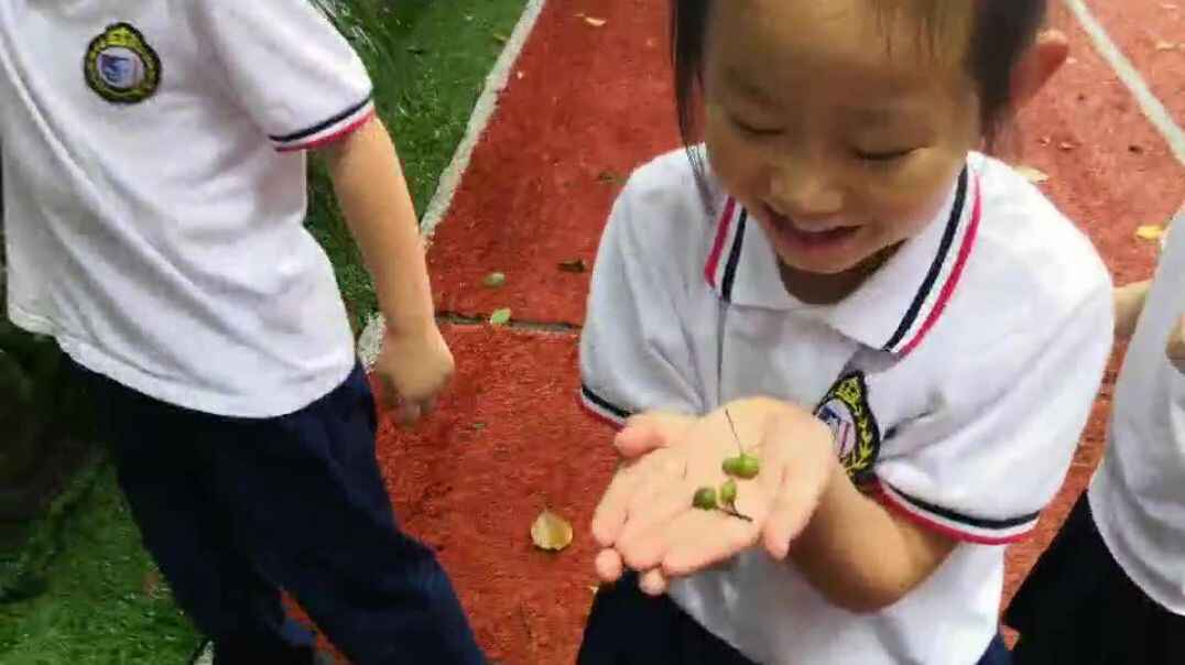 一颗小豆豆