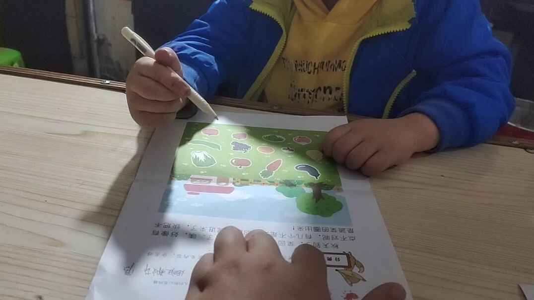 找出不是蔬菜的朋友