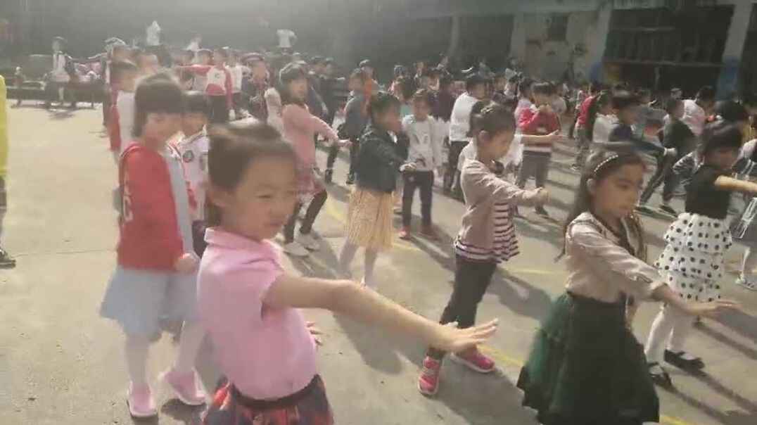我的运动